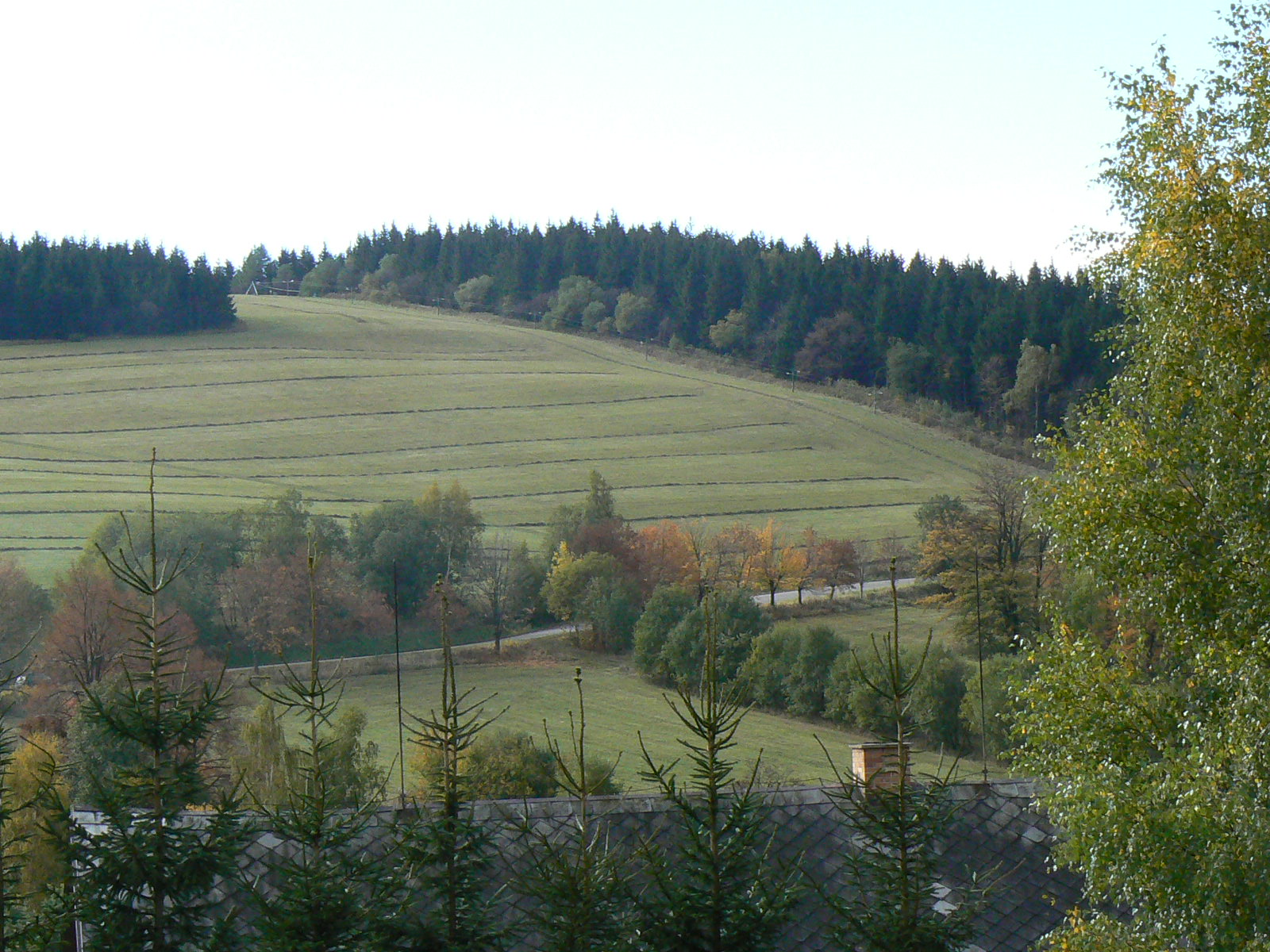 P1030877.JPG